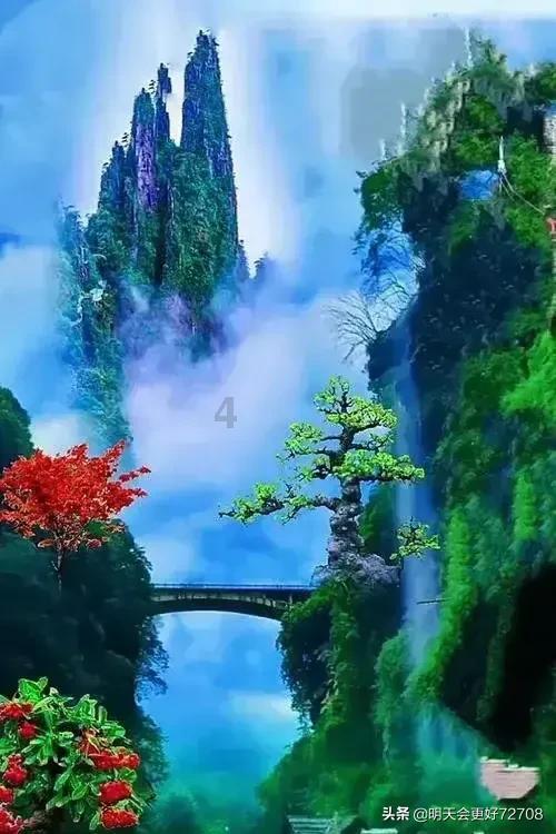 逗小猴开心系列209